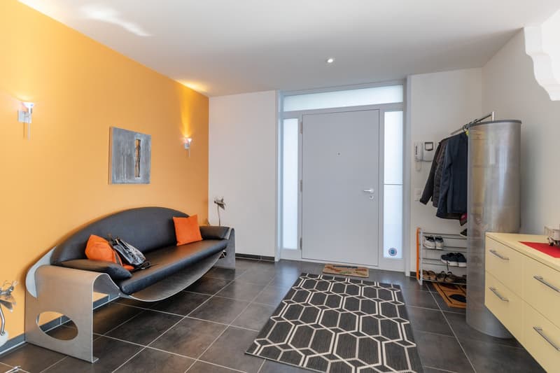 entrance hall, black sofa, orange pillows, rug, metal cabinets, wardrobe, wall lights, white door