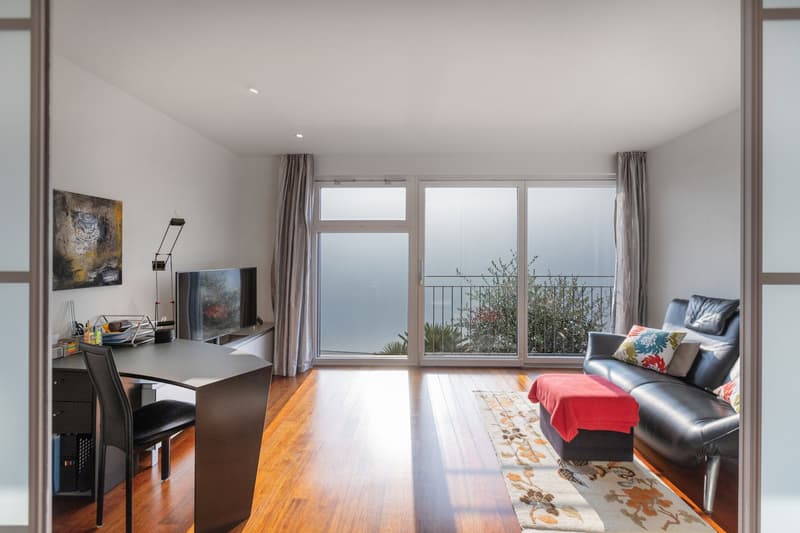 Balcony, large windows, carpet, desk, chair, television, leather sofa, rug