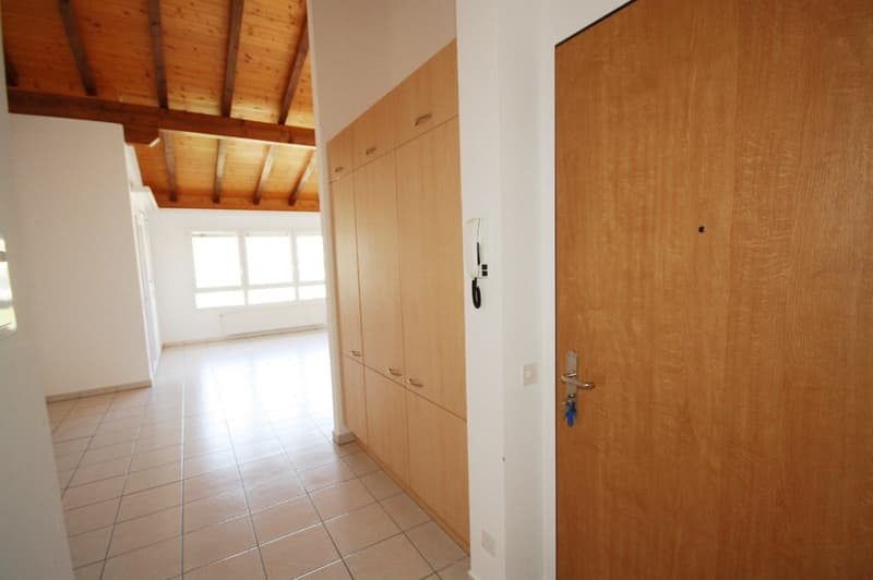 tiled floor, wooden ceiling, wardrobe, window