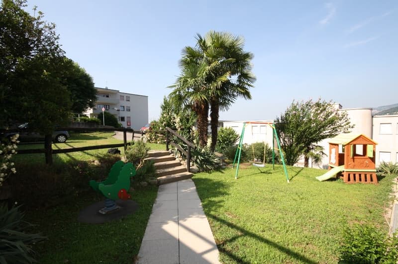 green grass, palm trees, playground with swing and slide, green rocker, concrete pathway