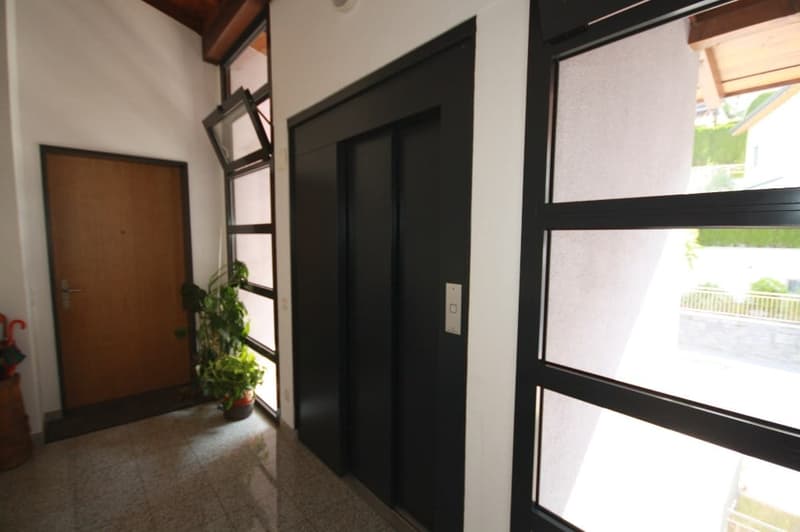 Entrance hallway with wooden door, floor-to-ceiling windows, an elevator, a plant, and a red umbrella.