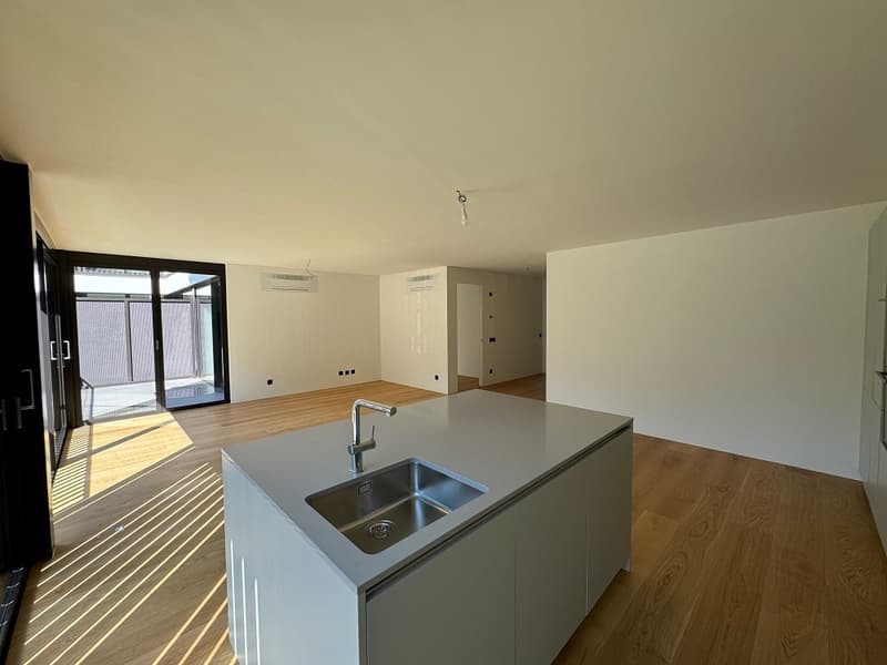 Contemporary kitchen with island, stainless steel sink, wooden floors, sliding glass door to balcony, minimalist design
