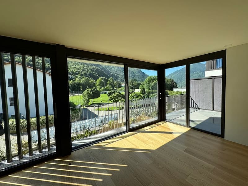 large glass windows, balcony, wooden floor, mountain view
