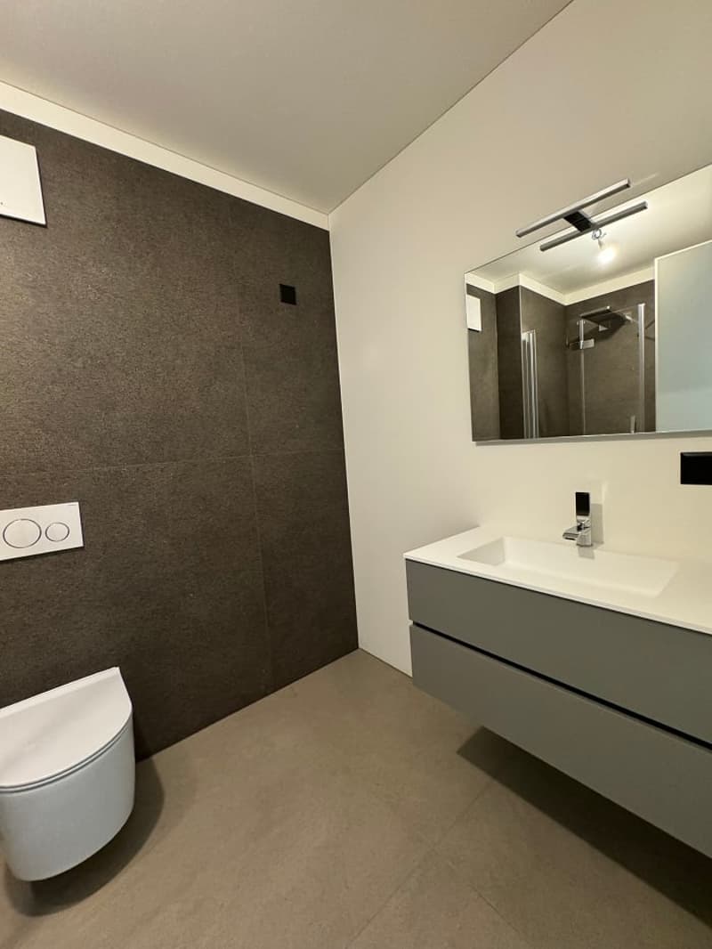 modern bathroom with white sink, wall-mounted mirror, shower enclosure, and white toilet