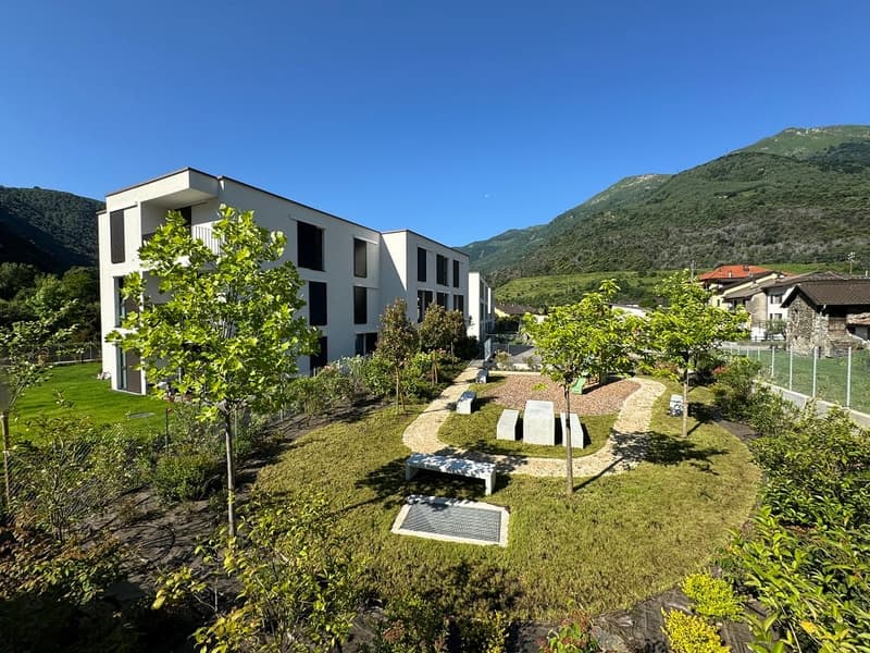 white building, pathway in the garden, trees, shrubs, and grass, mountain background