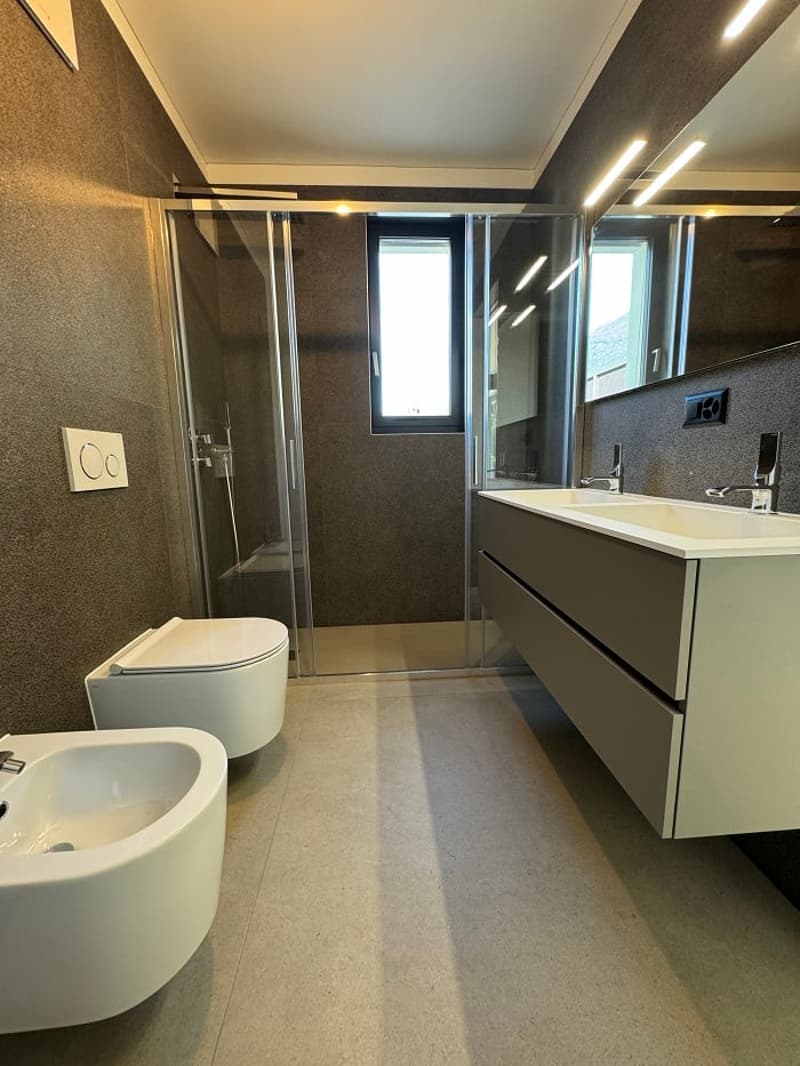Modern bathroom with glass shower enclosure, toilet, vanity with sink, and built-in dishwasher