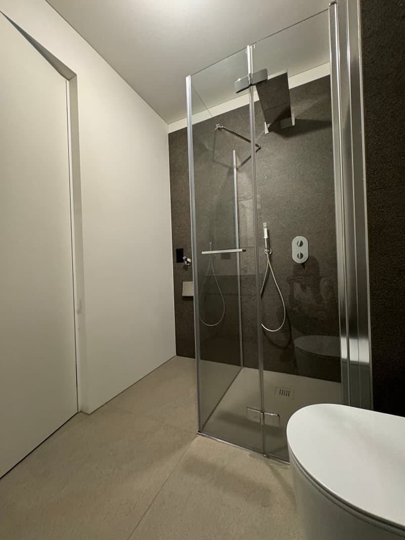 Modern bathroom with glass shower enclosure, white toilet, and tiled floor
