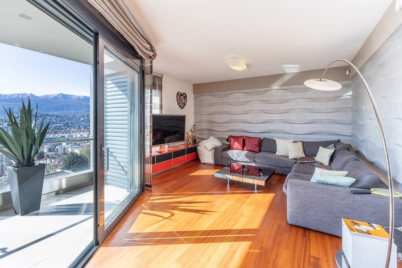 large windows, sliding doors, balcony, hardwood floor, couch, coffee table, TV, potted plant