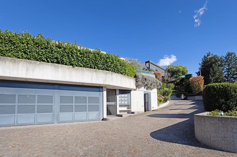 Modern house with double garage, brick driveway, green hedges, and a street light