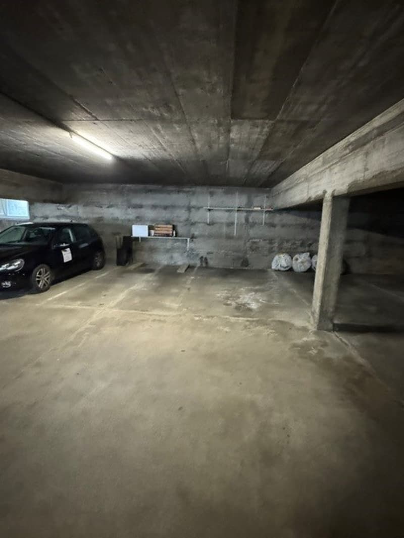 3.5 locali con vista aperta sulla città e montagne e due posti auto (21)