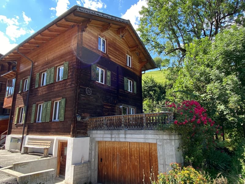 Idyllisches Einfamilienhaus mit Einliegerwohnung im Skigebiet (1)