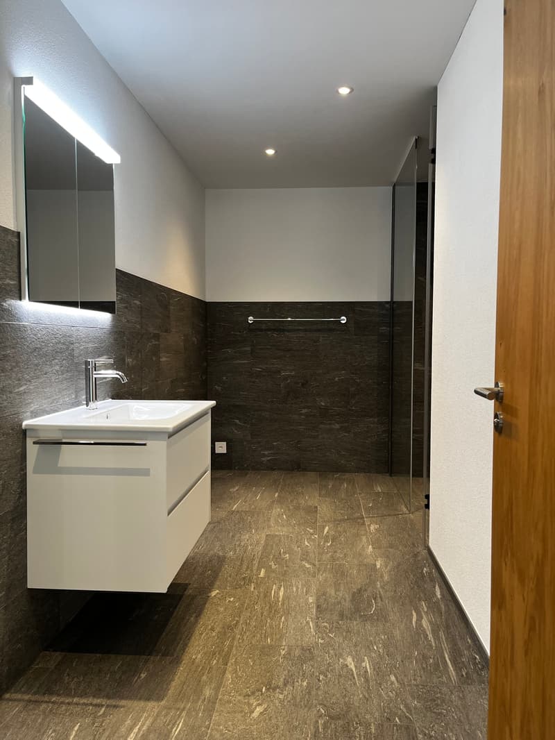 modern bathroom, white vanity, sink, mirror, tiled floor, glass shower, wooden door