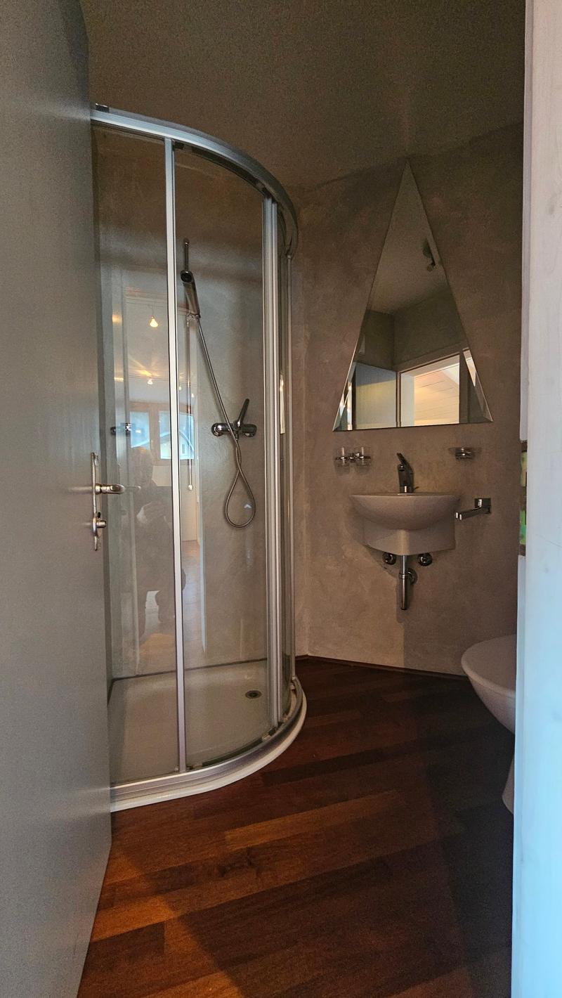 A modern bathroom with a walk-in shower, a sink, a toilet, wooden floor and mirror.