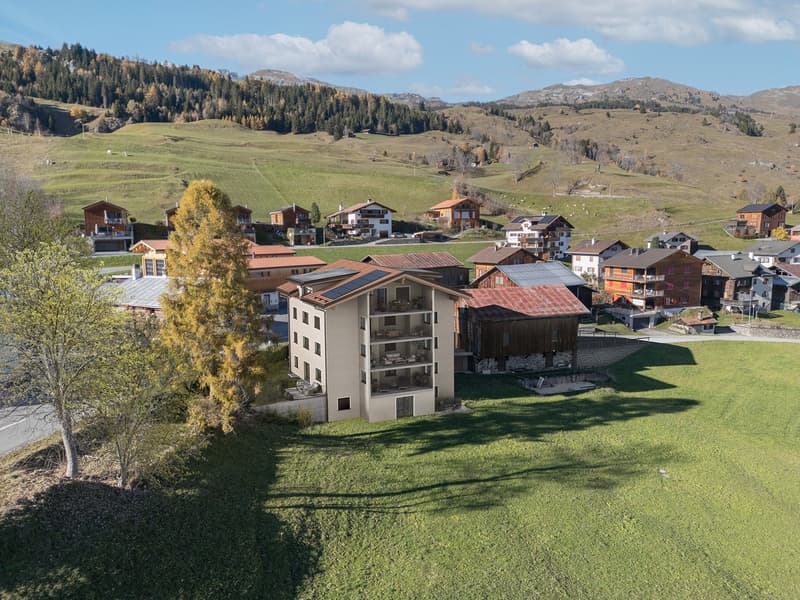 Multiple residential buildings set in a lush green valley with mountains in the background