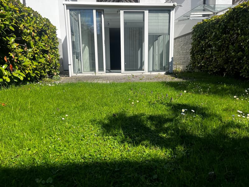Green lawn, bushes, sliding glass doors, paved area