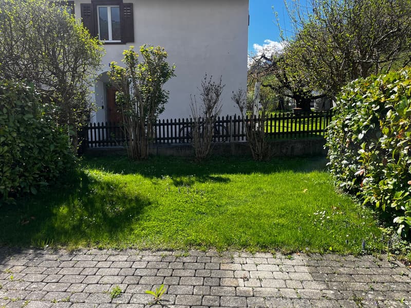 A small garden with a brick pathway, green grass, and a wooden fence.