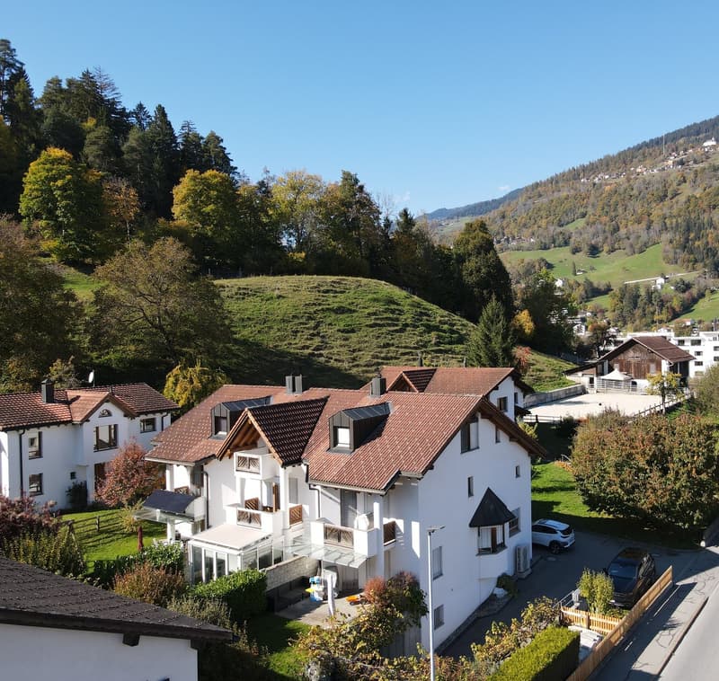 Aerial view of a group of houses with brown roofs, surrounded by trees and grass, with a mountain in the background.