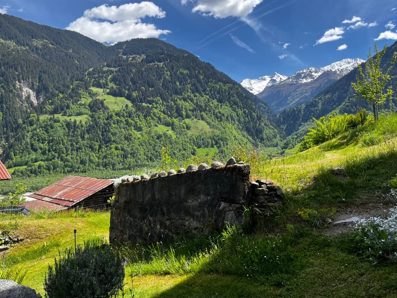 Farmhouse with two outbuildings and mountain panorama in Rabius (5)