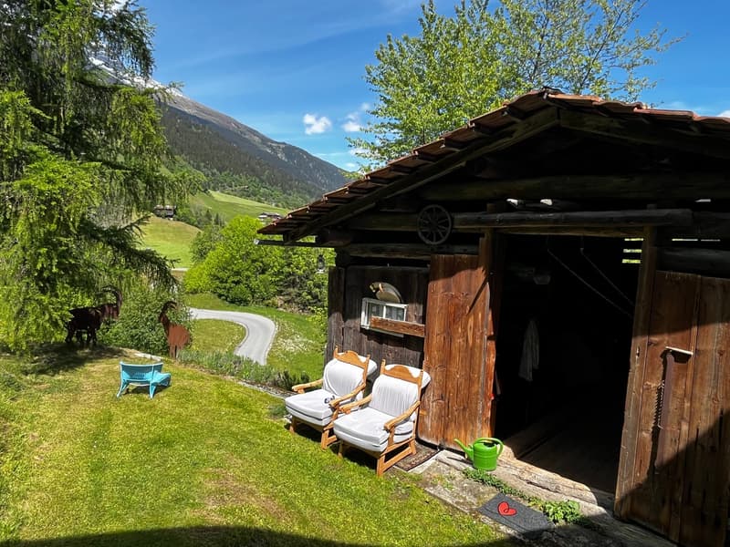 Farmhouse with two outbuildings and mountain panorama in Rabius (3)