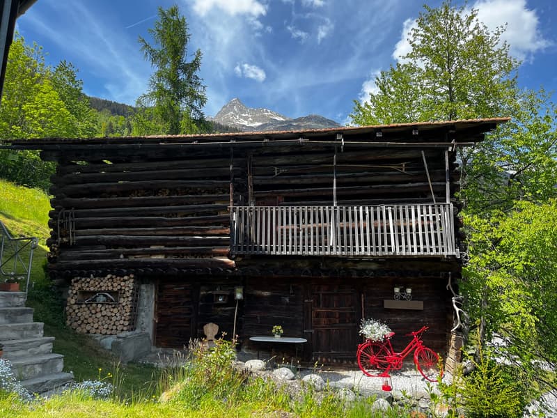 Farmhouse with two outbuildings and mountain panorama in Rabius (6)