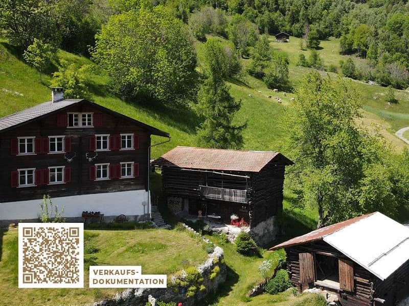 Farmhouse with two outbuildings and mountain panorama in Rabius (15)