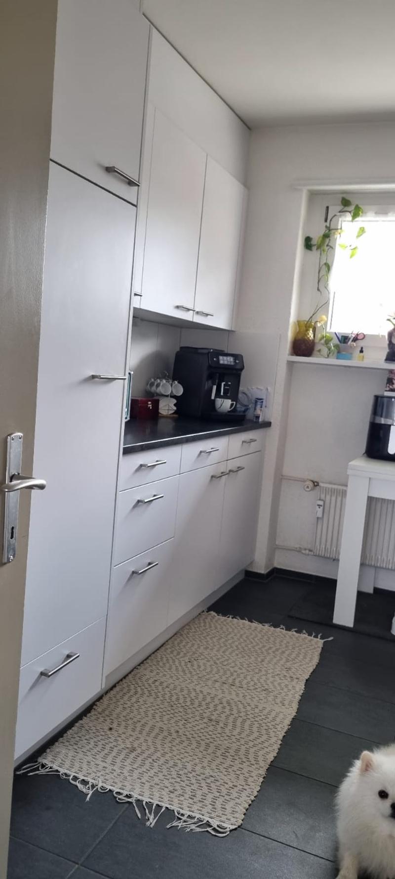 Beautiful 4 1/2 room apartment in the center of Ilanz (9)