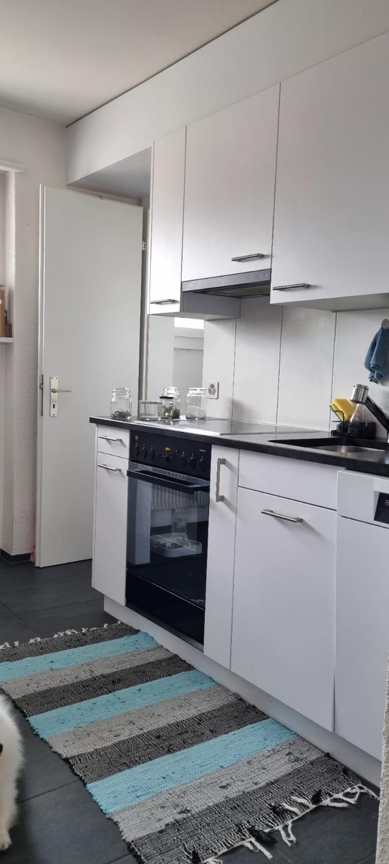 Beautiful 4 1/2 room apartment in the center of Ilanz (8)