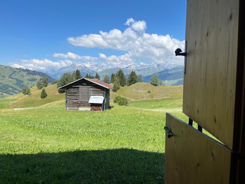 Idyllic Maiensäss with stable in Sevgein (Ilanz/Glion) (8)