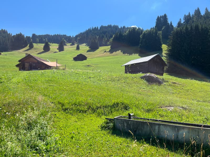 Idyllic Maiensäss with stable in Sevgein (Ilanz/Glion) (4)
