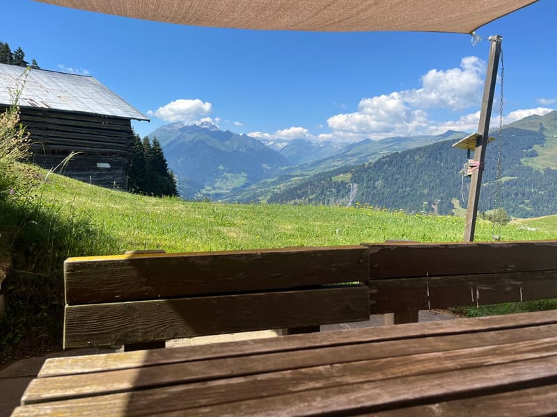 Idyllic Maiensäss with stable in Sevgein (Ilanz/Glion) (7)
