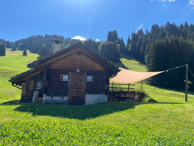 Idyllic Maiensäss with stable in Sevgein (Ilanz/Glion) (5)