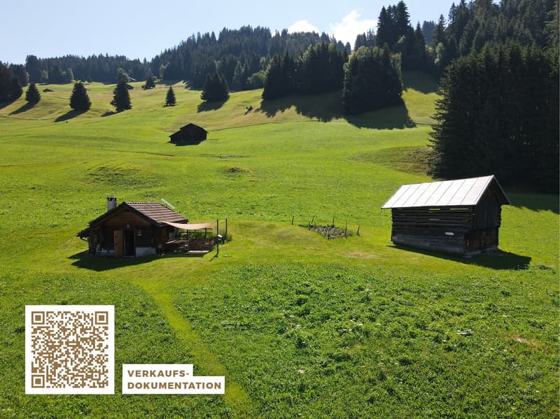 Idyllic Maiensäss with stable in Sevgein (Ilanz/Glion) (1)