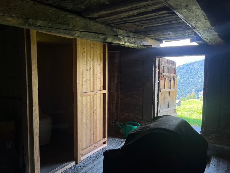Idyllic Maiensäss with stable in Sevgein (Ilanz/Glion) (16)