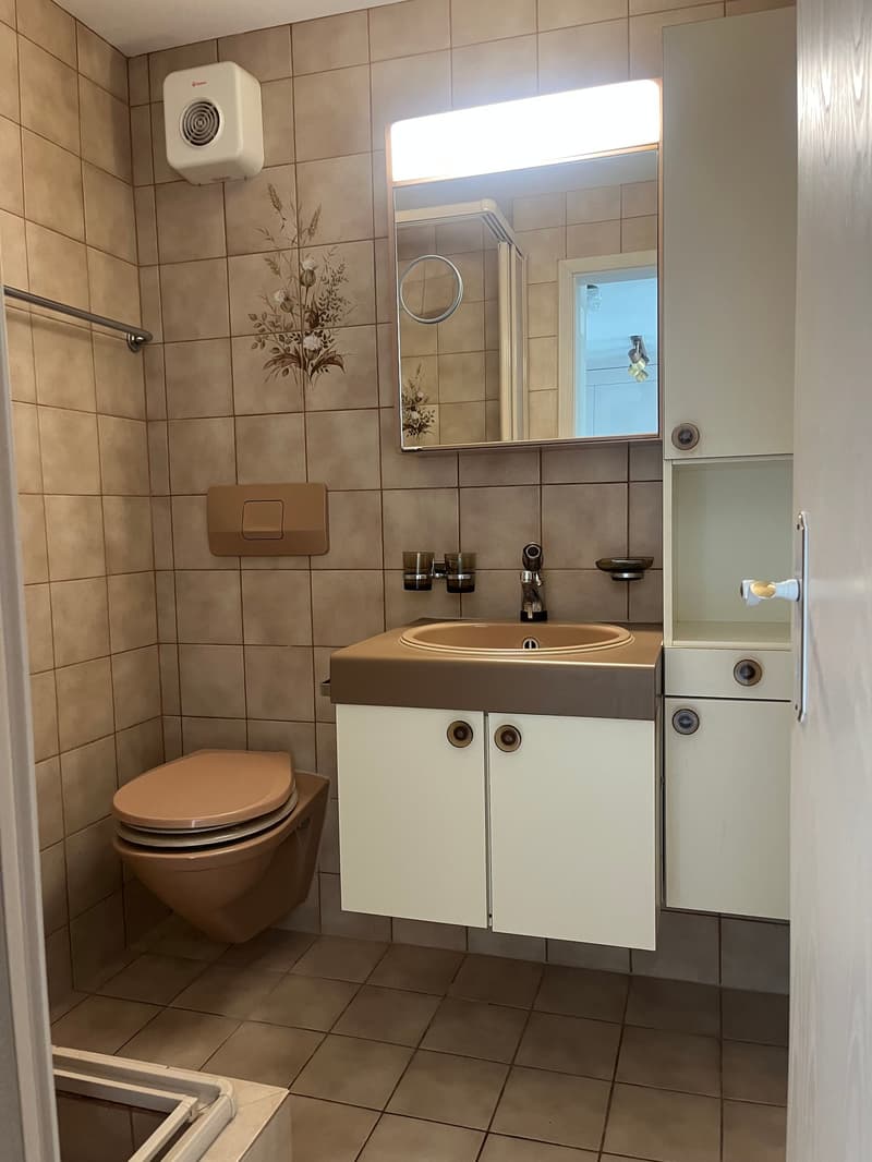 Appartement 2,5 pièces avec panorama montagnard à Falera (résidence secondaire) (9)