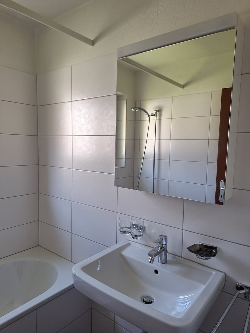 Attraktive 3 - Zimmerwohnung an ruhiger Lage (7)