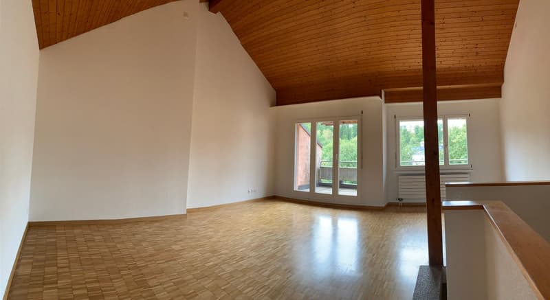 Ampio appartamento maisonette 4.5 locali a Fahrweid / Vivere in una cooperativa (2)
