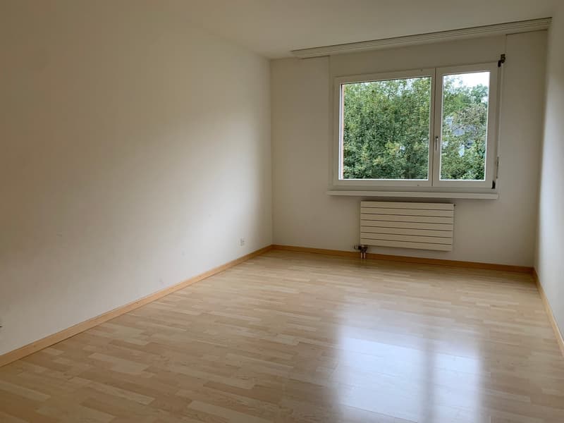 Ampio appartamento maisonette 4.5 locali a Fahrweid / Vivere in una cooperativa (13)