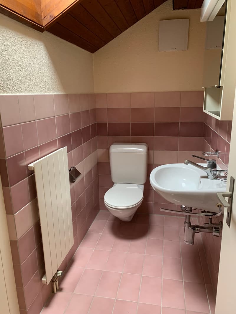 Ampio appartamento maisonette 4.5 locali a Fahrweid / Vivere in una cooperativa (17)