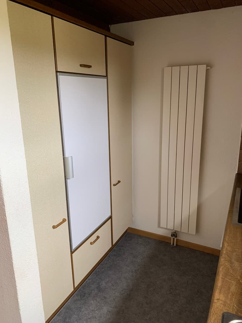 Ampio appartamento maisonette 4.5 locali a Fahrweid / Vivere in una cooperativa (4)