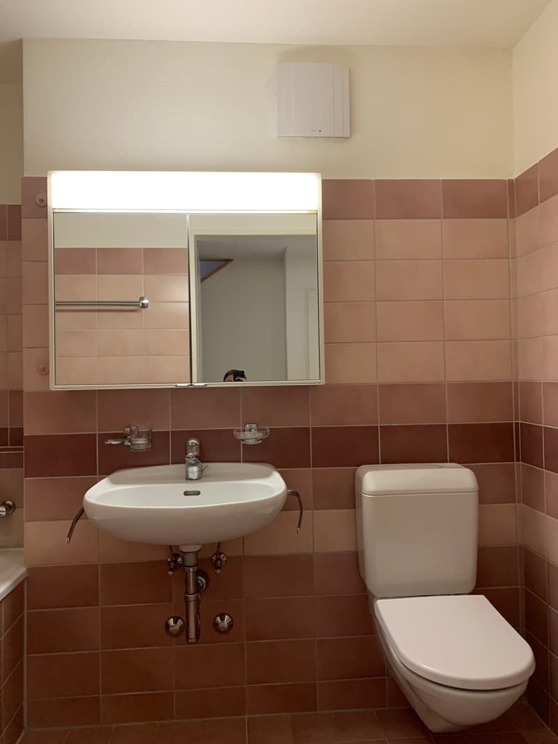 Ampio appartamento maisonette 4.5 locali a Fahrweid / Vivere in una cooperativa (12)