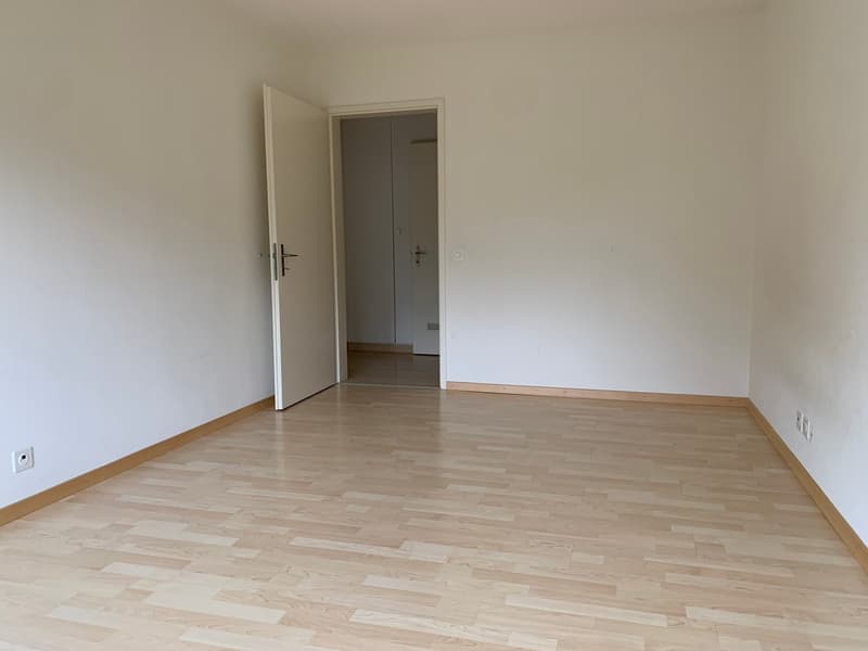 Ampio appartamento maisonette 4.5 locali a Fahrweid / Vivere in una cooperativa (14)