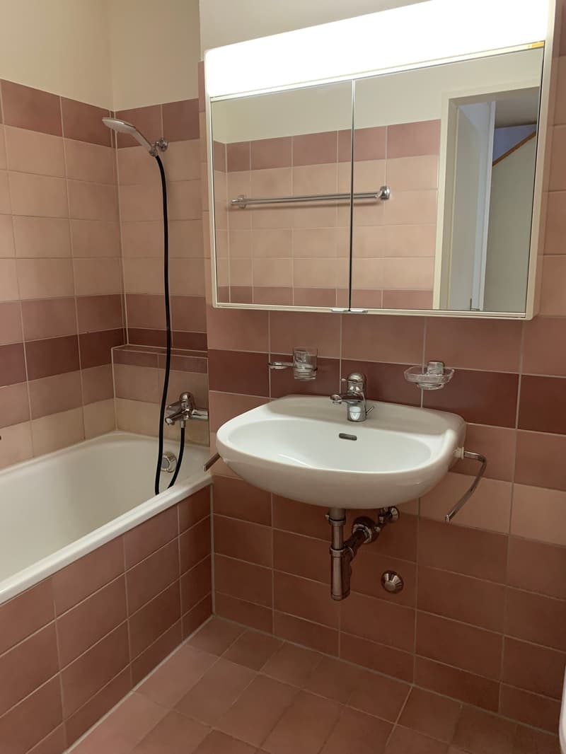 Ampio appartamento maisonette 4.5 locali a Fahrweid / Vivere in una cooperativa (11)