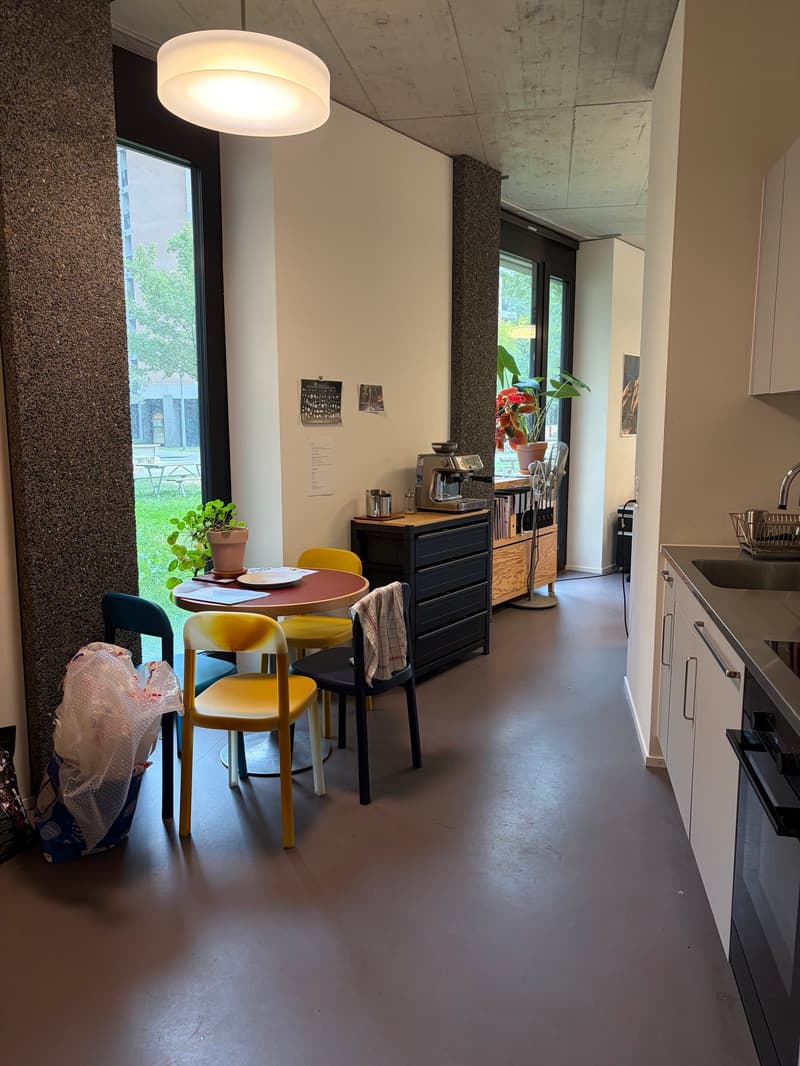Moderne Gewerbefläche im Letzigraben (5)