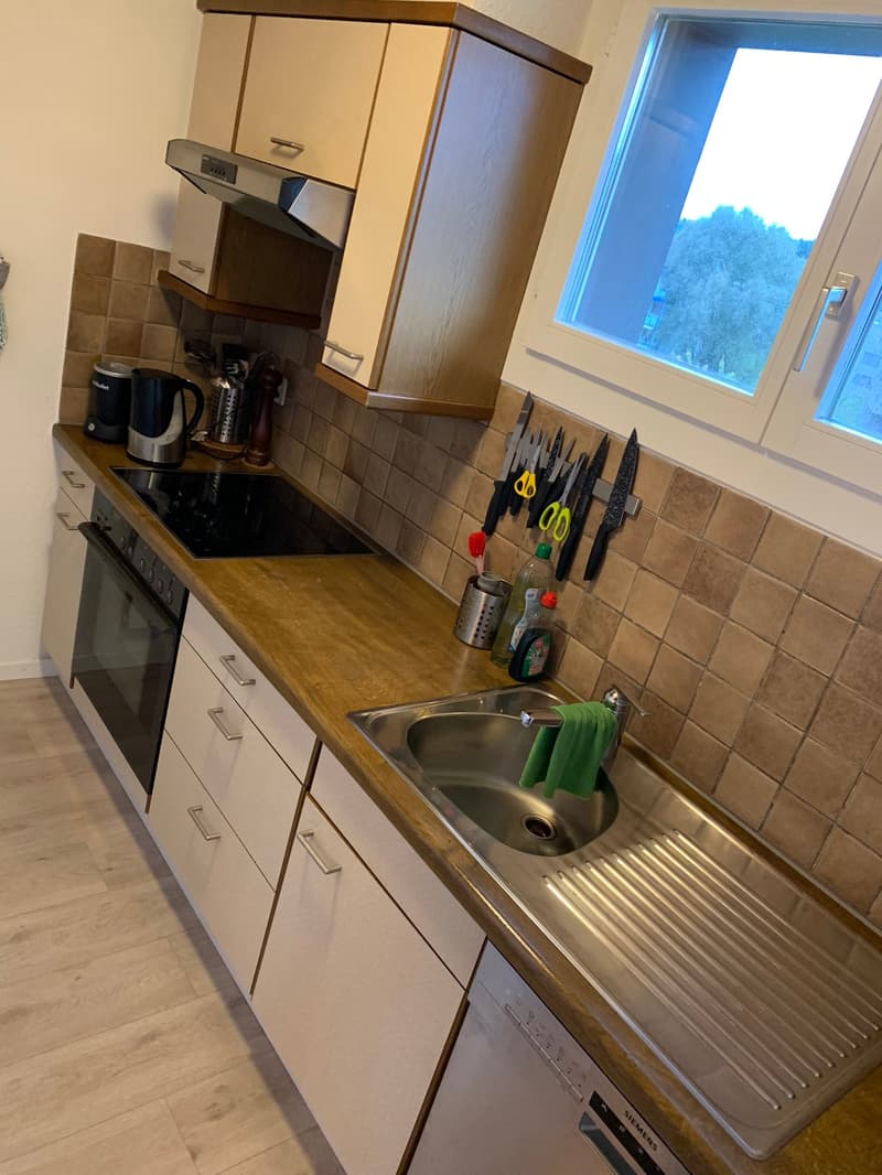 4.5-Zimmer-Maisonette-Wohnung an der Braunaustrasse 170 in Fahrweid (7)