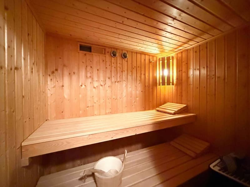 Riex, in the heart of Lavaux - Winemaker's house with contemporary interior (6)
