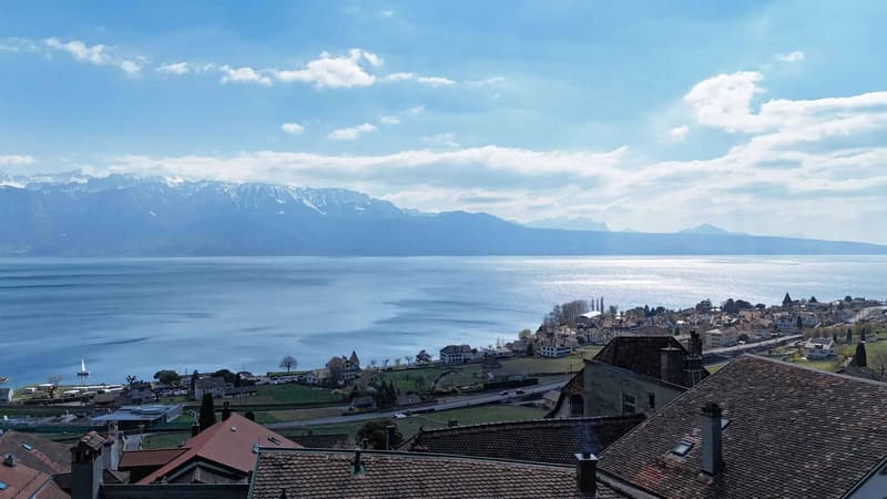 Riex, in the heart of Lavaux - Winemaker's house with contemporary interior (9)
