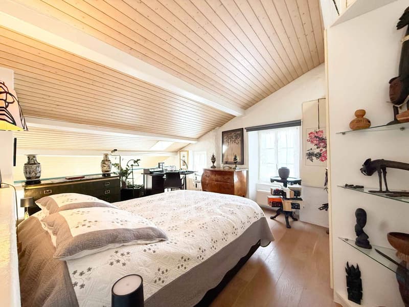 Riex, in the heart of Lavaux - Winemaker's house with contemporary interior (4)