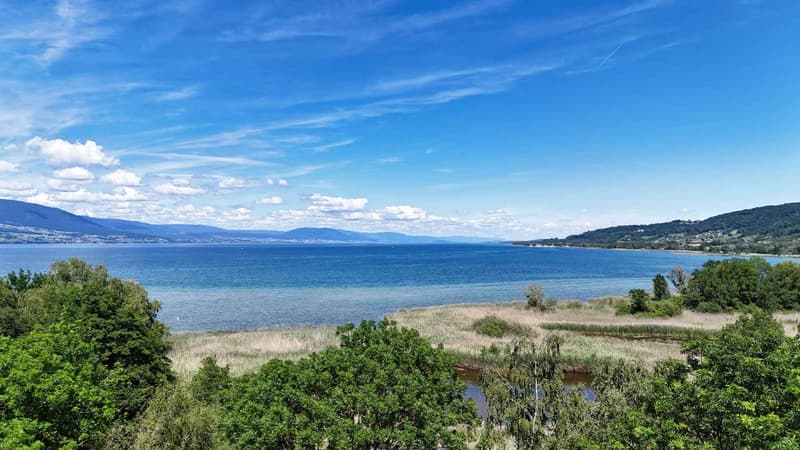 Maison de caractère avec grand jardin, à deux pas du lac de Neuchâtel (2)