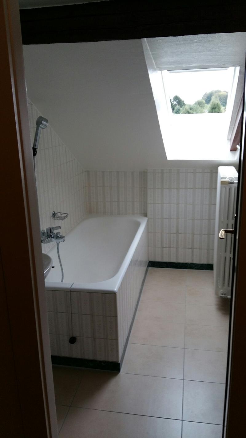 Wohnung mit 5,5 Zimmern im Dachgeschoss mit viel Charme, 1. Stock, ca. 129 m2 (5)