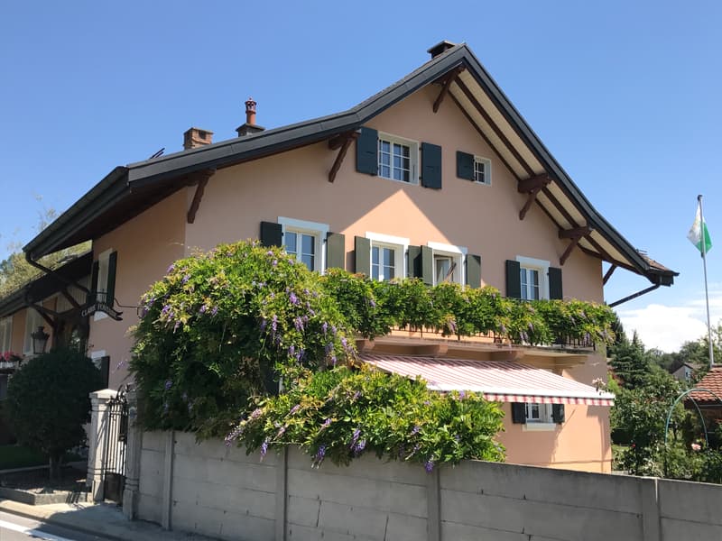 Wohnung mit 5,5 Zimmern im Dachgeschoss mit viel Charme, 1. Stock, ca. 129 m2 (1)